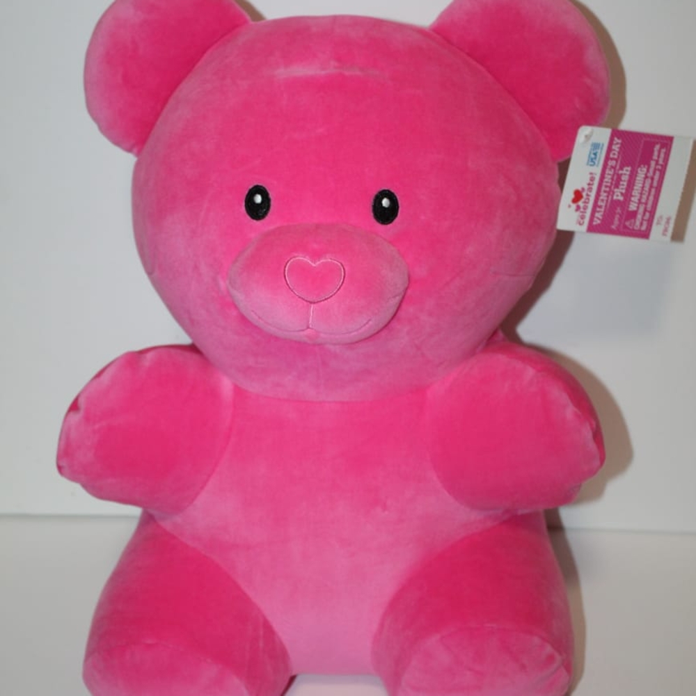 Pink Plush Teddy Bear